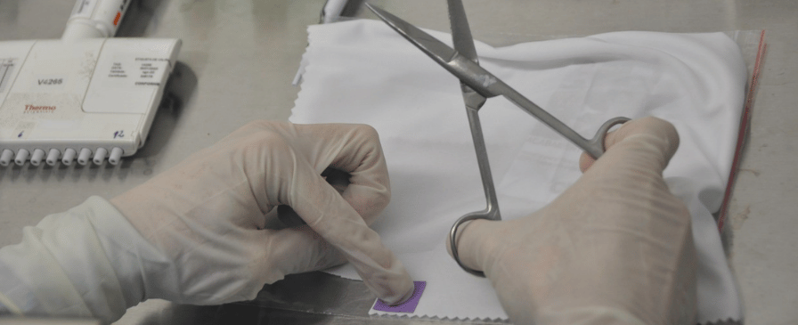 Testes em tecidos antivirais têm 99% de eficácia contra a Covid-19